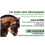 LES TRAITS VERTS CLINCHAMPOIS